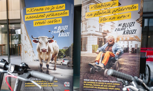 Ne bluzi, z glavo kruzi.