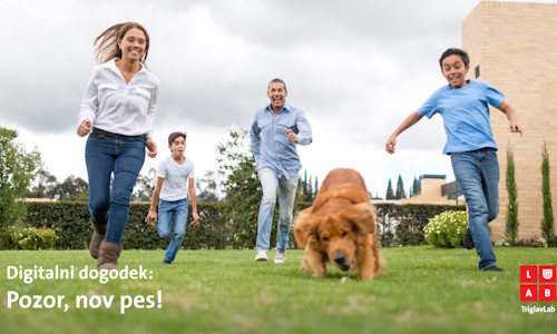 Pozor, nov pes!