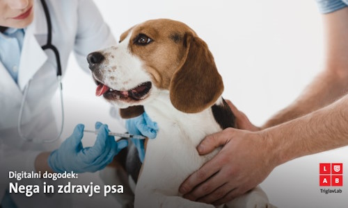 Nega in zdravje psa