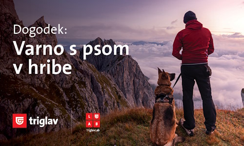 Varno s psom v hribe